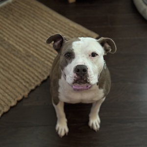 Fundraising Page: Eva McCleary